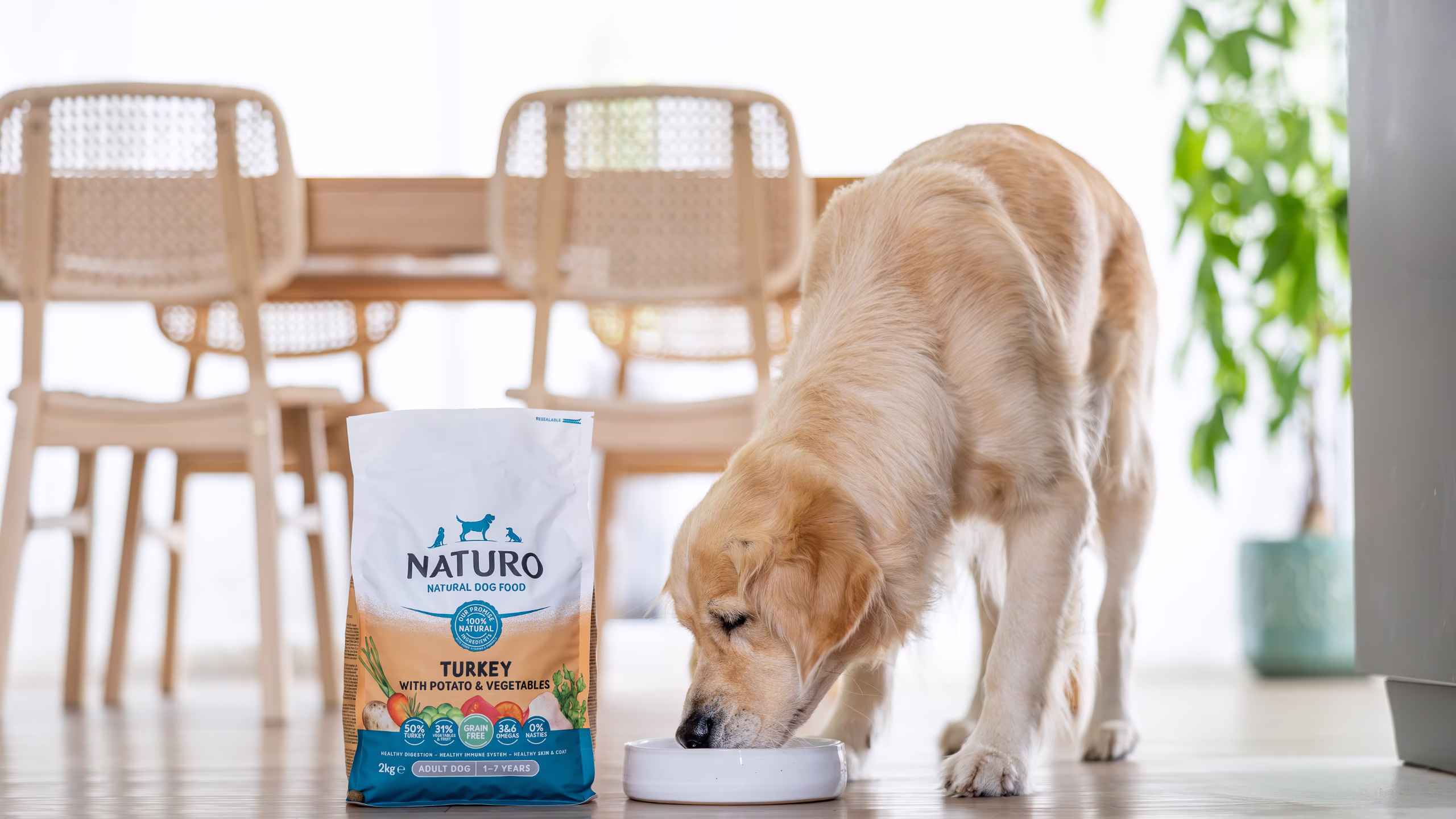 High palatability wet dog and cat food formulations