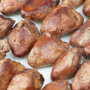 Organic Freeze Dried FD Duck Cat Treats