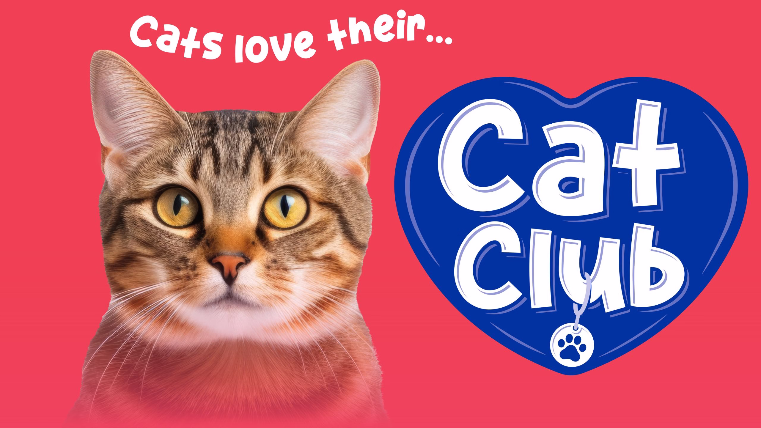 Cat Club wet cat food range by Mackle Petfoods