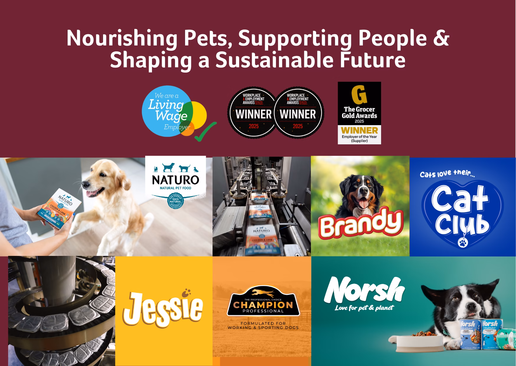 Mackle Petfoods factory overview and team